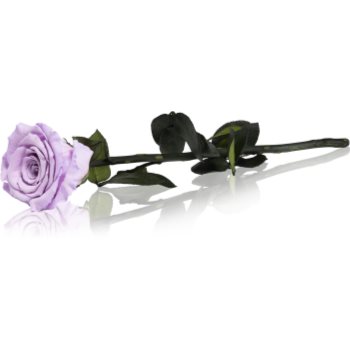 RoseAmor Lila trandafir stabilizat pe tulpină 30 cm - imagine 2